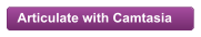 Articulate with Camtasia